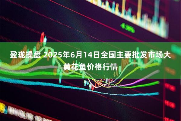 盈珑操盘 2025年6月14日全国主要批发市场大黄花鱼价格行情