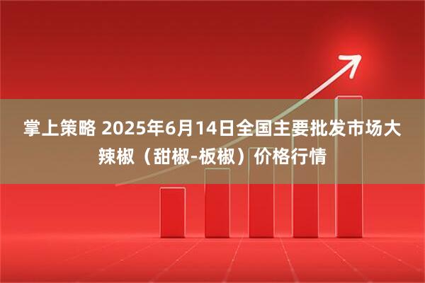 掌上策略 2025年6月14日全国主要批发市场大辣椒（甜椒-板椒）价格行情