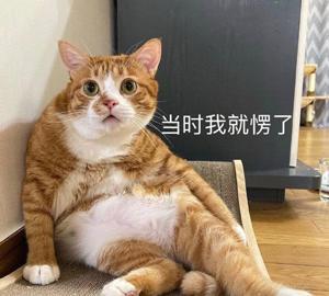 趣投顾 3000买号上线官方返500？玩家：玩了一会现在返1500了