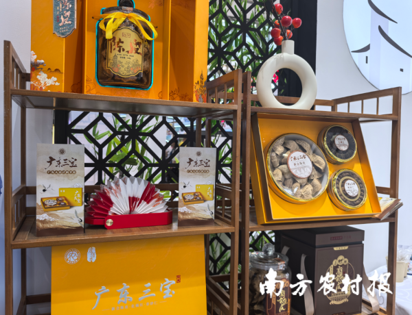 富源优配 手信+文旅完美邂逅！广东三宝亮相广东旅博会