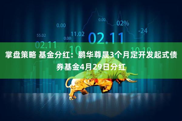 掌盘策略 基金分红：鹏华尊晟3个月定开发起式债券基金4月29日分红