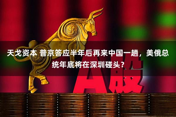 天戈资本 普京答应半年后再来中国一趟，美俄总统年底将在深圳碰头？
